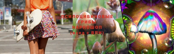 гашик Бородино