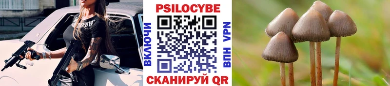 KRAKEN как зайти  Выборг  Галлюциногенные грибы MAGIC MUSHROOMS  купить наркоту 